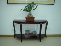 �ɹ�����