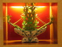 �ɹ�����