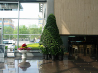 �ɹ�����