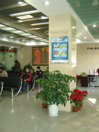 �ɹ�����