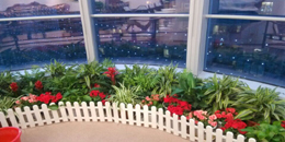 ���˼ʻ����Ż�᳡