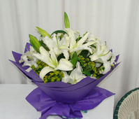 10֧�װٺ�/��������