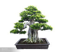 �����辰02