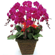 ������01