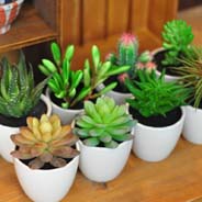 ��������01